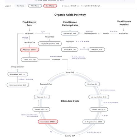 Organic Acids Metabolomic Mapping